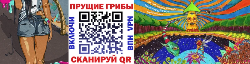 Псилоцибиновые грибы прущие грибы  Хилок 