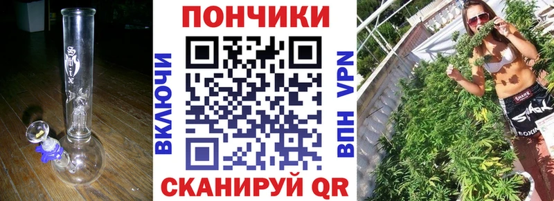 Бошки Шишки планчик  Хилок 